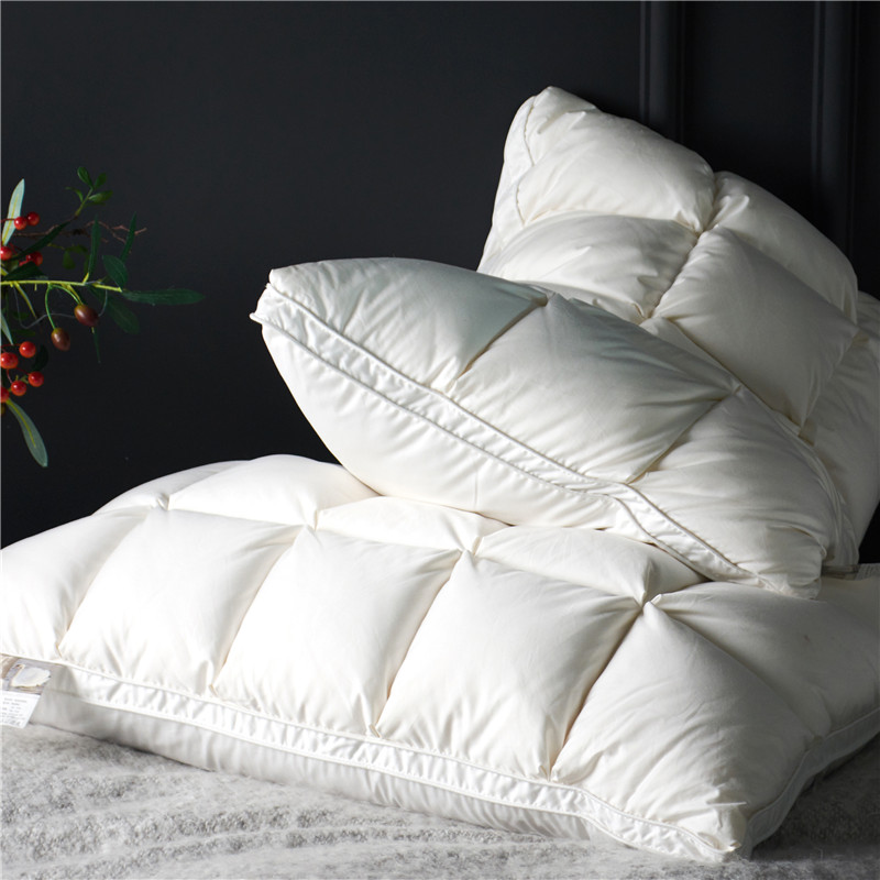 Home Textiles Premium - Bao Gồm 2 Chiếc 20X30 