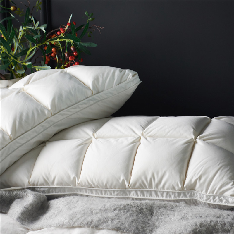Bao Gồm 2 Chiếc 20X30 