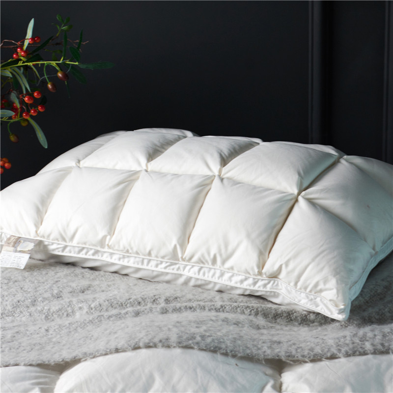 Bao Gồm 2 Chiếc 20X30 